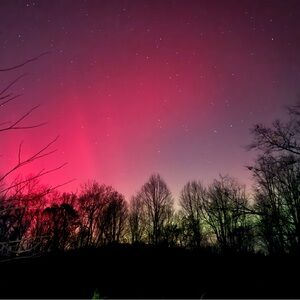 Meet your Posher, Danyele